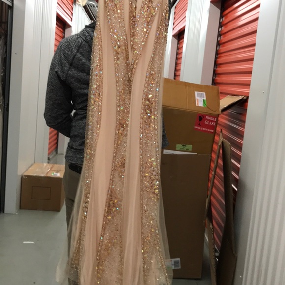 Nude/Champagne Beaded Pageant Gown - Picture 8 of 8
